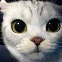 สมาชิกหมายเลข 3401376