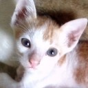 น่าจะผ่าน