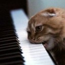 สมาชิกหมายเลข 914796