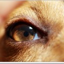 สมาชิกหมายเลข 1168967