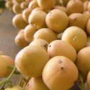 สมาชิกหมายเลข 2955123