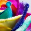 สมาชิกหมายเลข 2157953