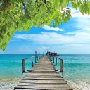 สมาชิกหมายเลข 1117424