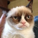 สมาชิกหมายเลข 915575