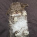 ละลอยลมละลันลา