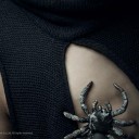 สมาชิกหมายเลข 2158398