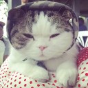 สมาชิกหมายเลข 2905319