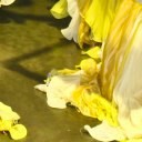 สมาชิกหมายเลข 753354