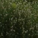 สมาชิกหมายเลข 1378403