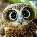 สมาชิกหมายเลข 1561110