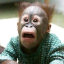 สมาชิกหมายเลข 2550797