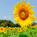 สมาชิกหมายเลข 2552573