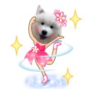 Sunshine through the rain