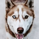 นางงามมิเชล เหยียบโลก