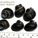 สมาชิกหมายเลข 3403831