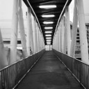 สมาชิกหมายเลข 2159558