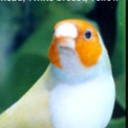 สมาชิกหมายเลข 1373482