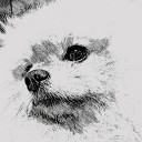 เศษผักติดซอกฟัน