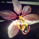 สมาชิกหมายเลข 915458