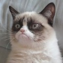 สมาชิกหมายเลข 2160136