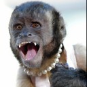 สมาชิกหมายเลข 2044473