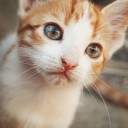 สมาชิกหมายเลข 2957614