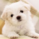 สมาชิกหมายเลข 900664