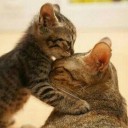 สมาชิกหมายเลข 917439