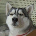 ช่างไฟเทวดา