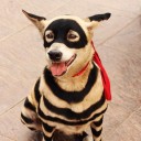 สมาชิกหมายเลข 2160405