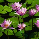 สมาชิกหมายเลข 897353