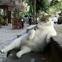 สมาชิกหมายเลข 917982