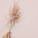 สมาชิกหมายเลข 918228