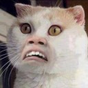 สมาชิกหมายเลข 1318008