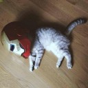 สมาชิกหมายเลข 1746850