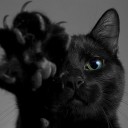 สมาชิกหมายเลข 1318294