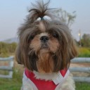 ไดร์ฟเวอร์