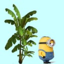 สมาชิกหมายเลข 1740155