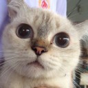 สมาชิกหมายเลข 3406118