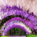 ในวันที่อากาศเป็นใจ