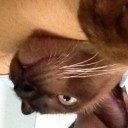 ลองลิ้มรส ลองแล้วรัก