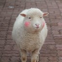 สมาชิกหมายเลข 2732360