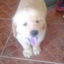 สมาชิกหมายเลข 864093