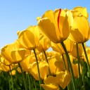 สมาชิกหมายเลข 1319321