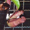 สมาชิกหมายเลข 1748015