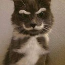 สมาชิกหมายเลข 1697793