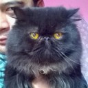 สมาชิกหมายเลข 1625760