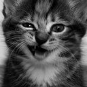 สมาชิกหมายเลข 1764163