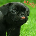 สมาชิกหมายเลข 857077