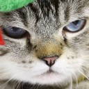 สมาชิกหมายเลข 1320031